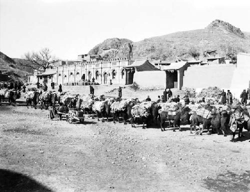 Camel caravan lined up alongside larger building and mud