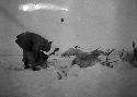 Preserving reindeer in the snow