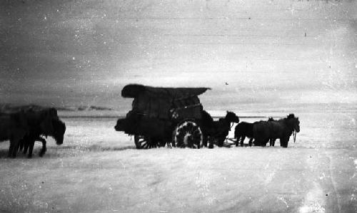 Cart in snow, large cart being pulled by several horses