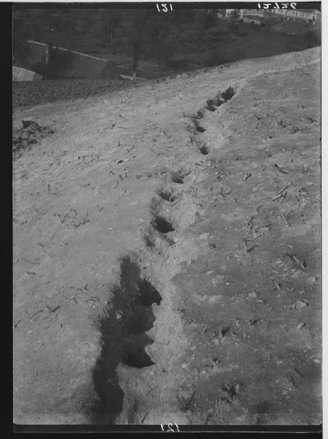 Palisade I - south section facing west, postholes