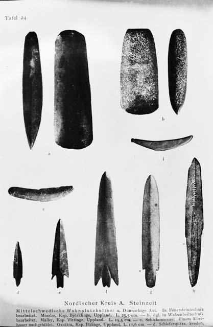 Group of stone tools or projectile points from Europe