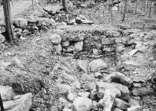 Structure 1 - West wall, Southwest section, cellar