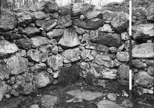 Structure 1 - Southeast corner, cellar