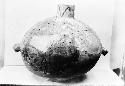 Mancos black on white pottery jar from Pueblo II level, site 11