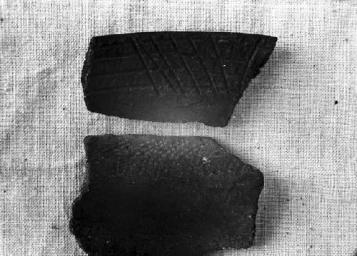 Two potsherds