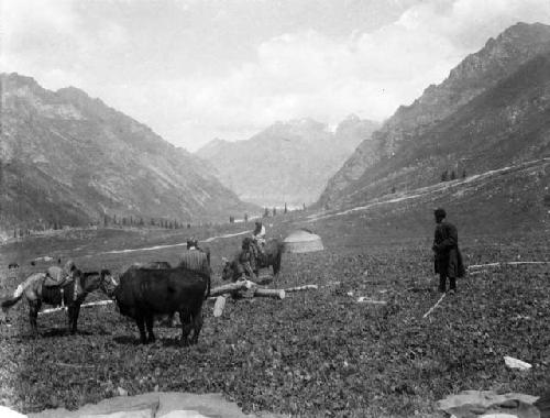 Turki encampment Kichik Yailak, several men and horses in foreground