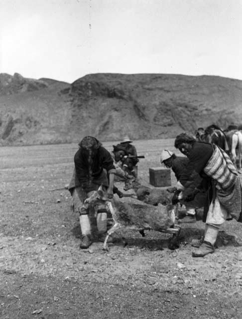 Men butchering dead antelopes