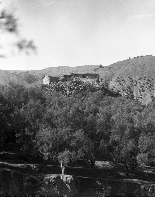 Mosque on hillside