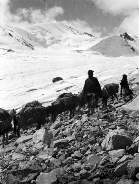 Turki (Uighur) caravan coming over Saser (Sasser) Pass