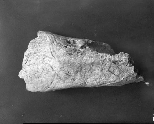 Engraved bone from Cavern of Espe'lugues, partial shaft