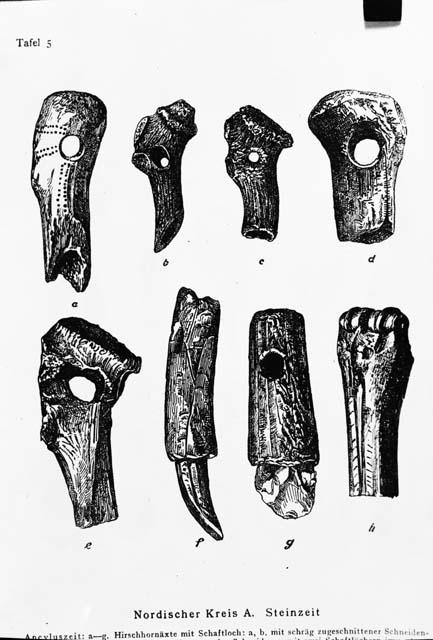 Various bone tools and weapons from Europe