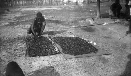 Sifting out termites wings from bodies