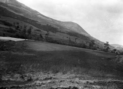 Site, facing west