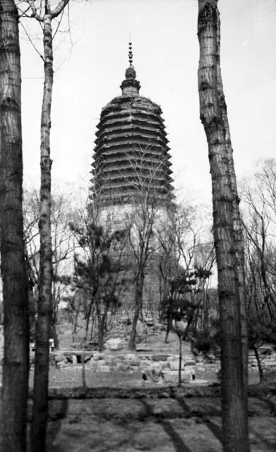 Tall pagoda with trees around base