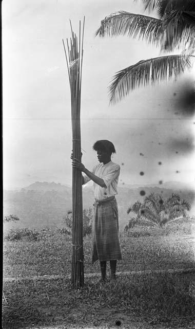 Man gathering stems for mat making