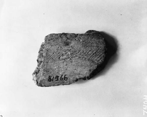 Fragment of engraved bone with diagonal striations