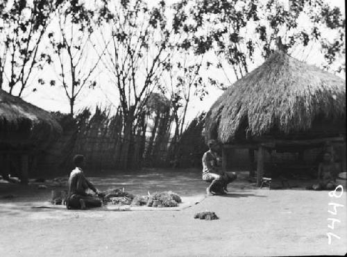 Woman threshing millet