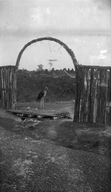 Domesticated stork in archway, village in distance