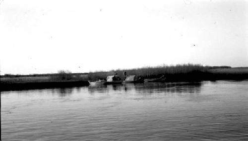 Covered boats among reeds (blurred)