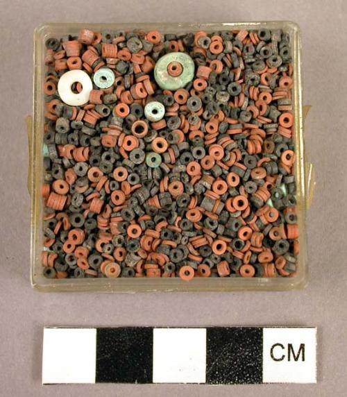 Ground stone beads, discoidal