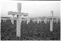 Cemetary with white crosses for gravemarkers