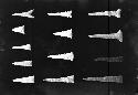 Group of Projectile Points and Drills