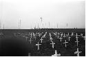 Field of white gravemarkers