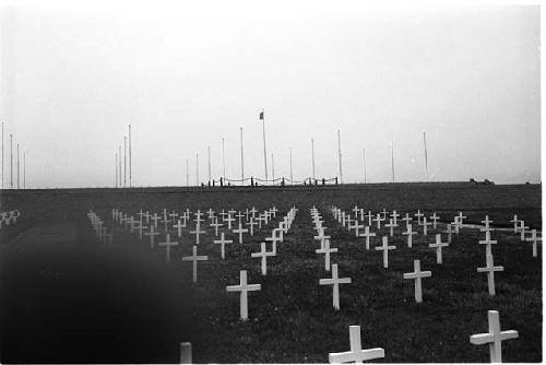 Field of white gravemarkers