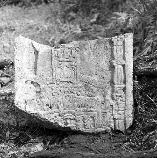 Fragment of stela at Tamarindito