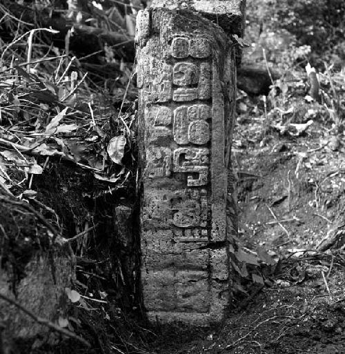 Fragment of stela at Tamarindito