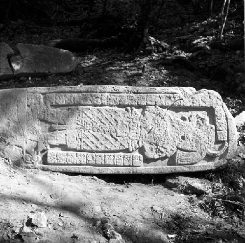 Stela 29 at Naranjo