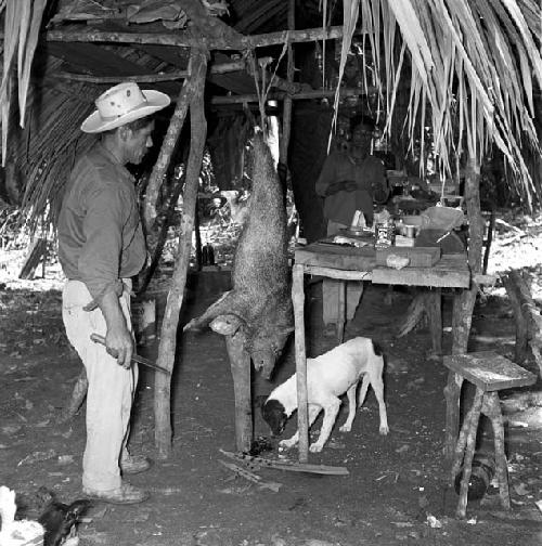 A. Venture with jabah in camp at Naranjo