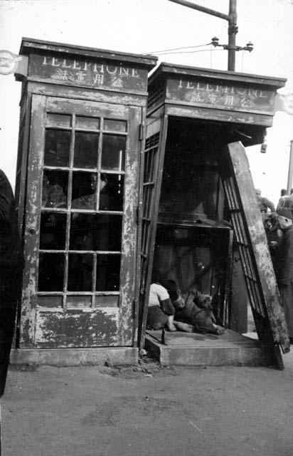 Children inside telephone booth