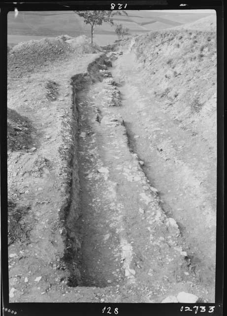 Palisade II - view facing east - whole trench