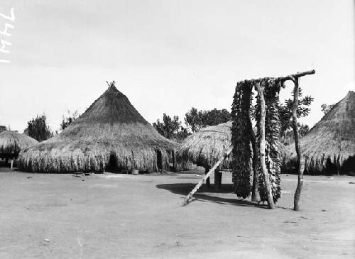 View of village huts with maize drying in foreground