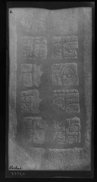 Stela 6 and Fragments of 12 - 15