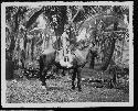 Man on horse in jungle setting