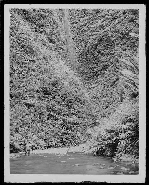 Man in jungle landscape