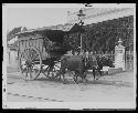Animals pulling carriage on road