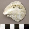 Shell, bivalve, fragment