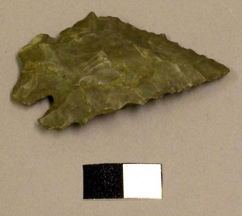 Projectile point