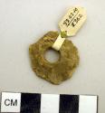 Worked gourd rind fragment