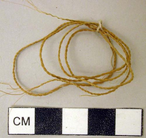 Fragment of very fine cord--17" long, yucca or agave?