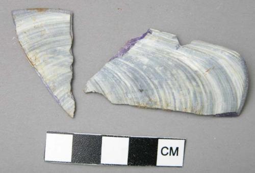 Fragments of shells - slightly rubbed down on one edge, showing use