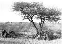 [No folder title]: Oukwane's group and “visiting group," sitting apart near Oukwane's tree