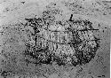 LI-26 Can mat covering burial 9 after excavation