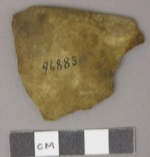 Gourd fragment