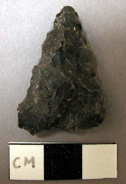 Projectile point