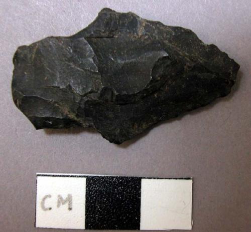 Projectile point