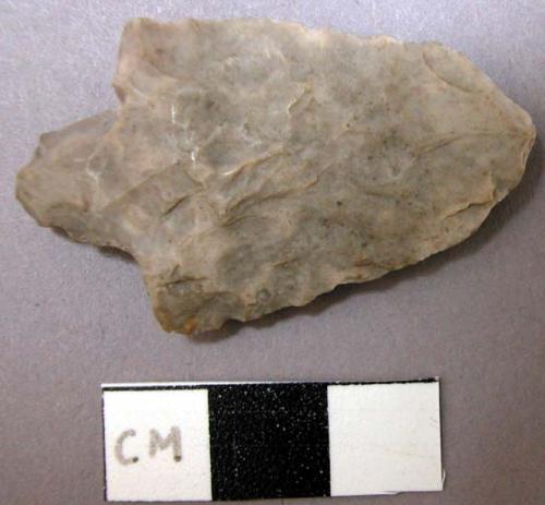 Projectile point